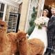 Inglewood House Wedding Teaser