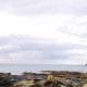 Amazing Archerfield Wedding